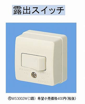 WS3002W